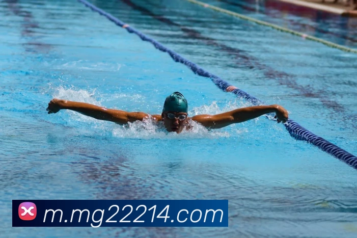 MG冰球突破平台生态图